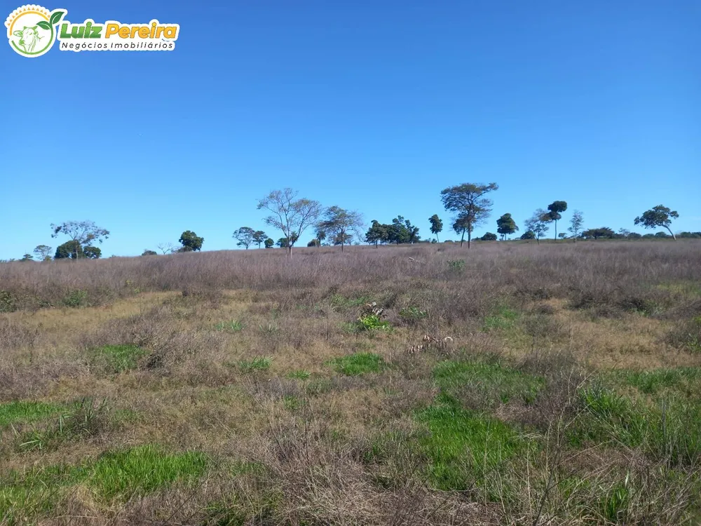 Terreno, 300 m² - Foto 1