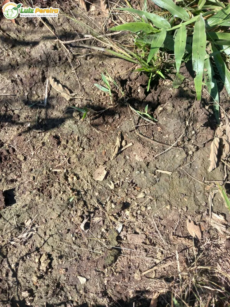 Terreno, 300 m² - Foto 8