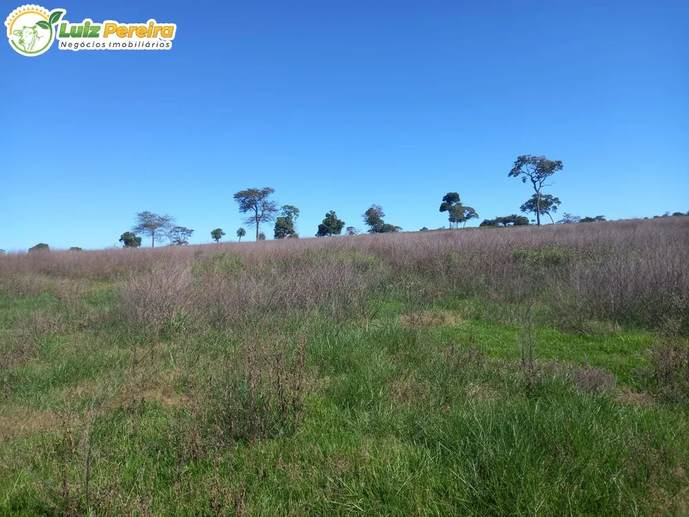 Terreno, 300 m² - Foto 7