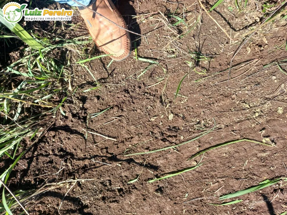 Terreno, 300 m² - Foto 4