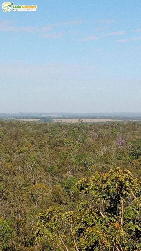 Terreno, 2904 m² - Foto 4