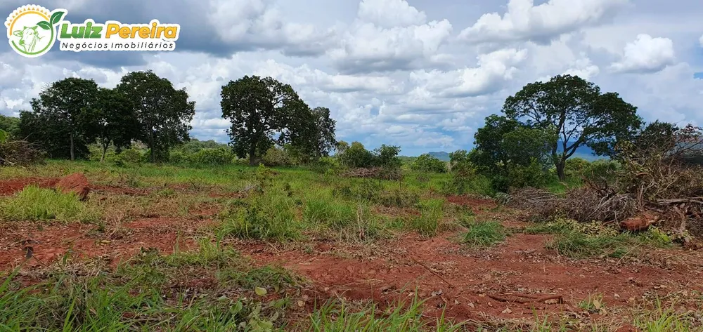 Terreno, 957 hectares - Foto 15