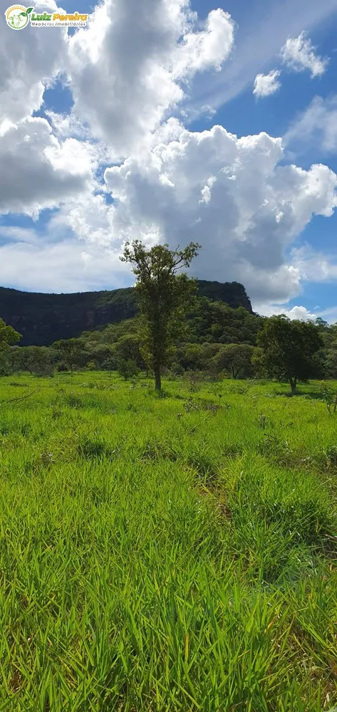 Terreno, 957 hectares - Foto 4