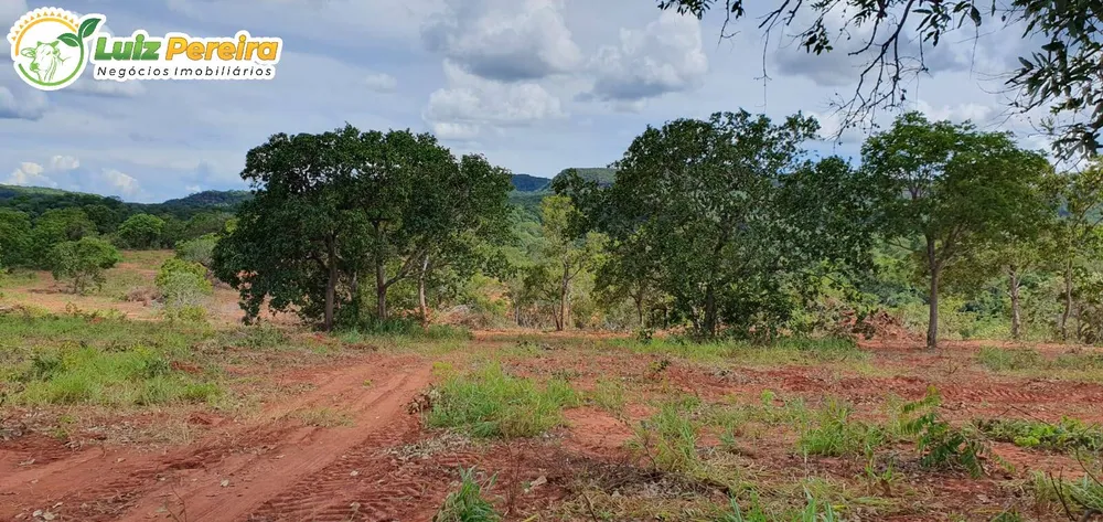Terreno, 957 hectares - Foto 14