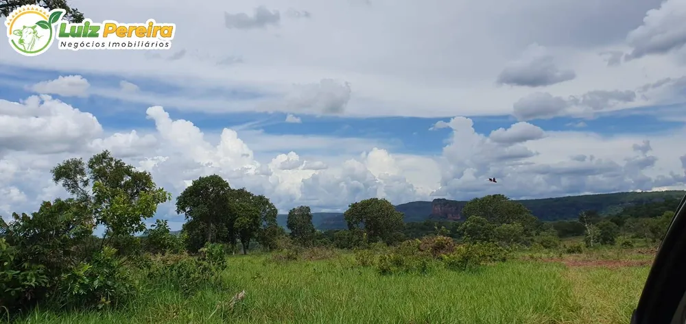 Terreno, 957 hectares - Foto 8