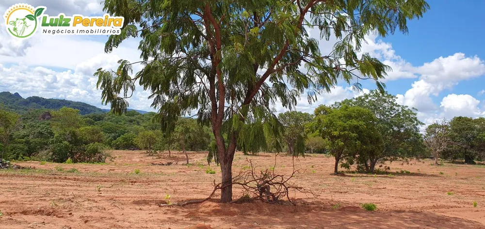 Terreno, 957 hectares - Foto 10