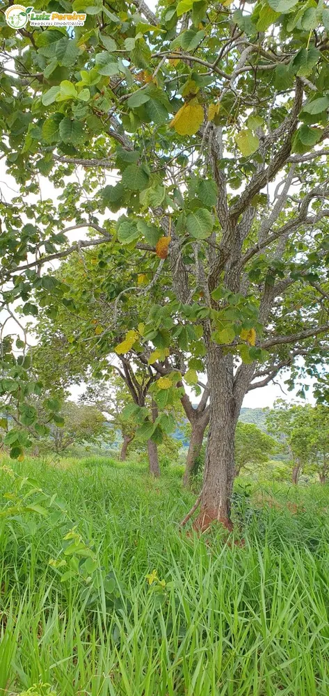 Terreno, 957 hectares - Foto 3