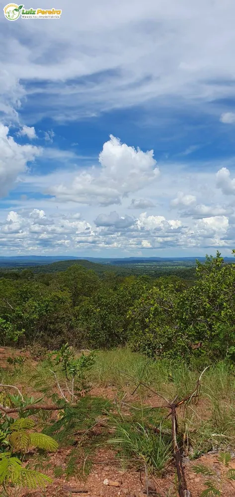 Terreno, 957 hectares - Foto 6