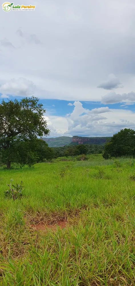 Terreno, 957 hectares - Foto 7