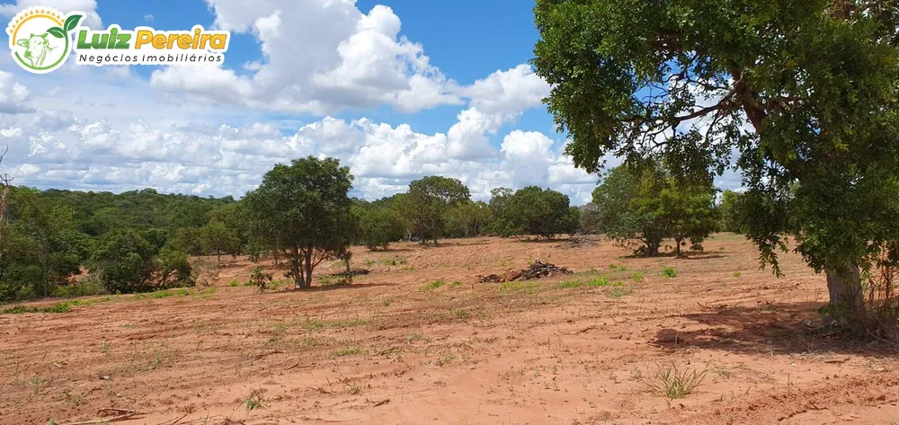 Terreno, 957 hectares - Foto 11