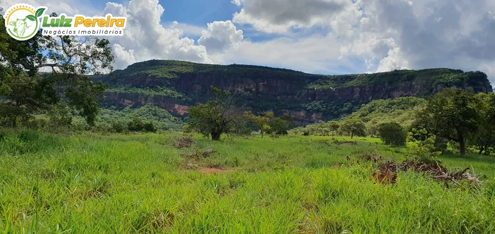 Terreno, 957 hectares - Foto 1