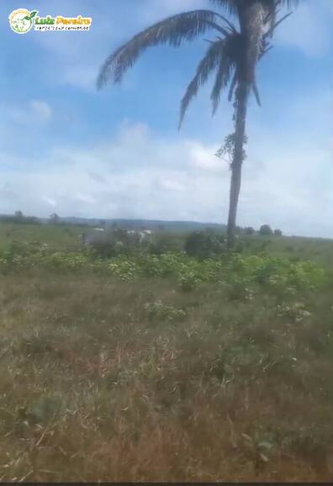 Terreno, 4840 m² - Foto 4