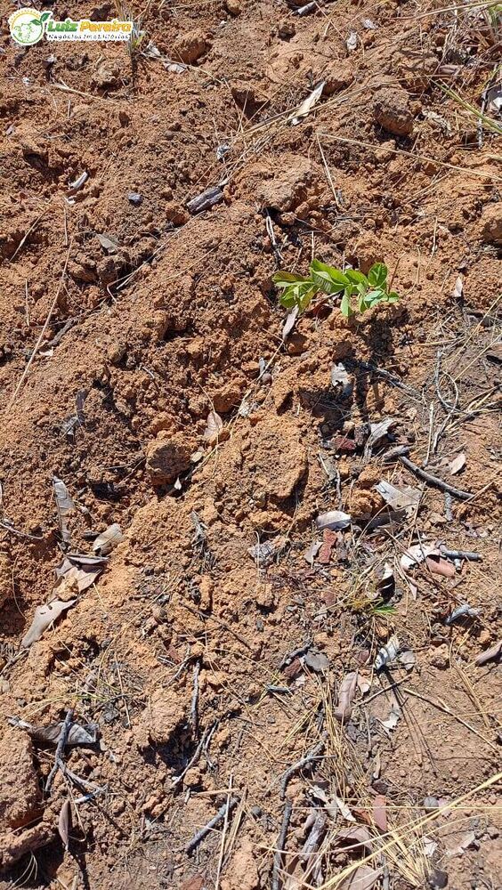 Terreno, 1680 m² - Foto 4