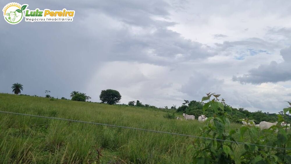 Terreno à venda, 10841600m² - Foto 4