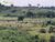 Terreno, 1084 hectares - Foto 1