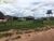 Terreno, 866 hectares - Foto 4