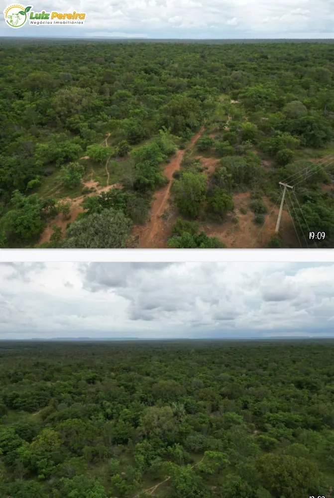 Terreno, 5000 hectares - Foto 13