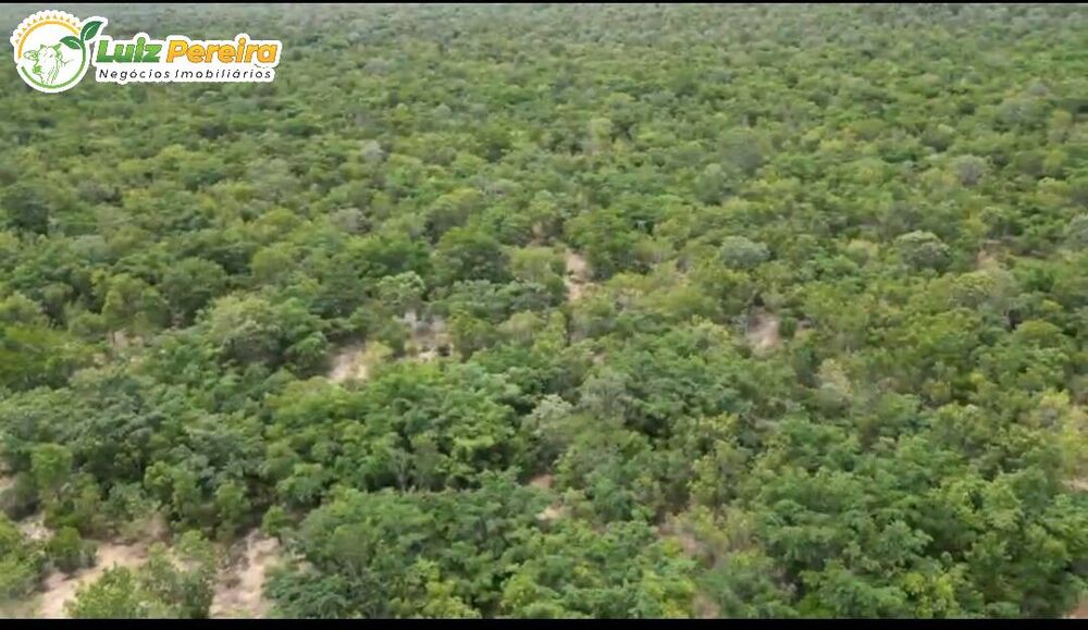 Terreno à venda, 50000000m² - Foto 1