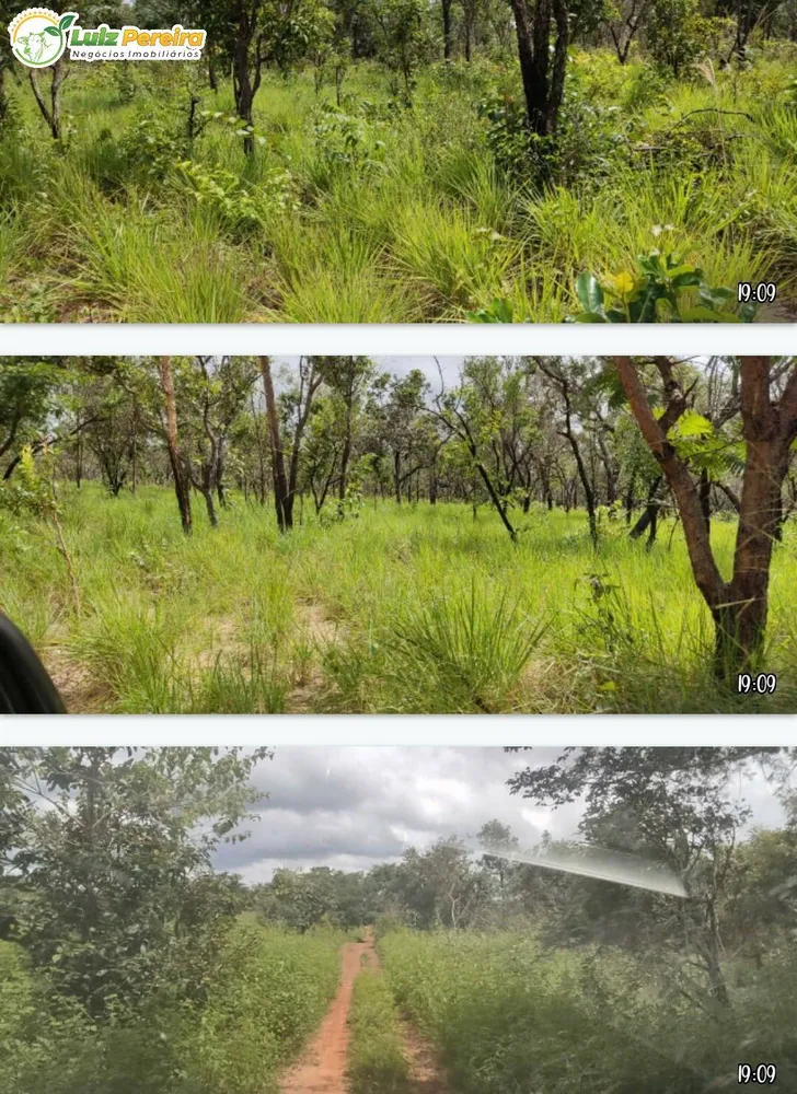 Terreno, 5000 hectares - Foto 7