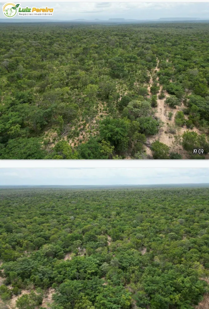 Terreno, 5000 hectares - Foto 16