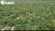 Terreno, 5000 hectares - Foto 1