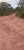 Terreno, 701 hectares - Foto 4