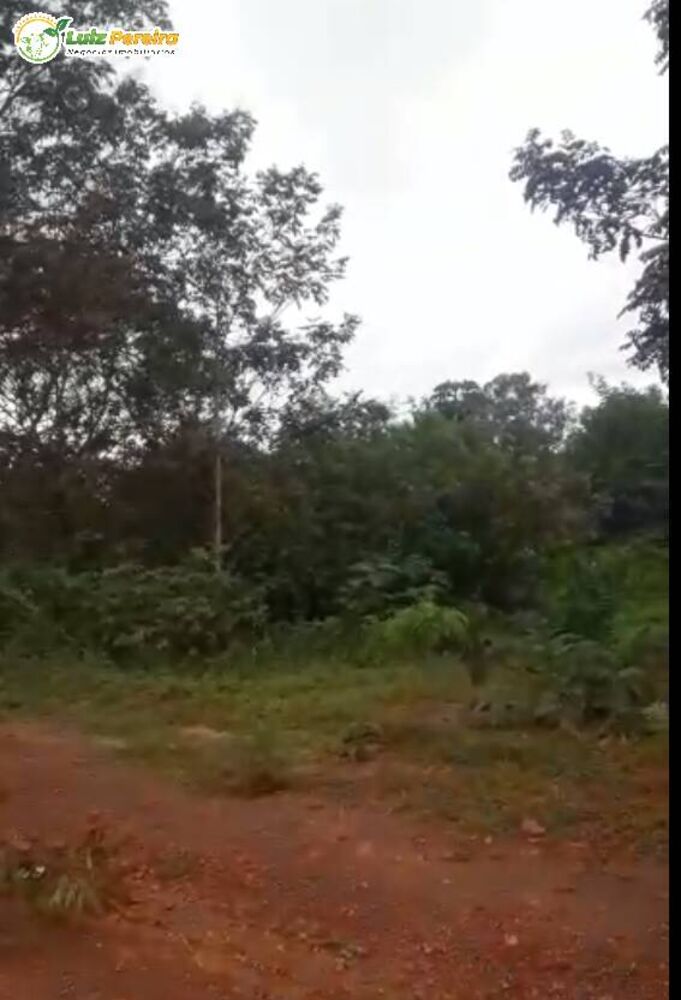 Terreno, 400 hectares - Foto 1