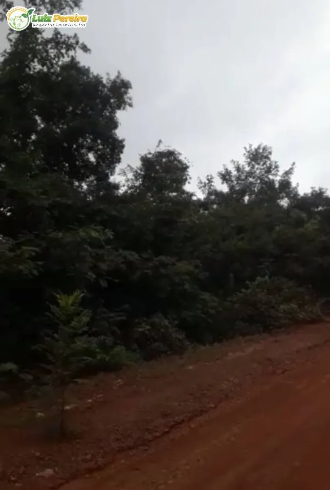 Terreno, 400 hectares - Foto 6