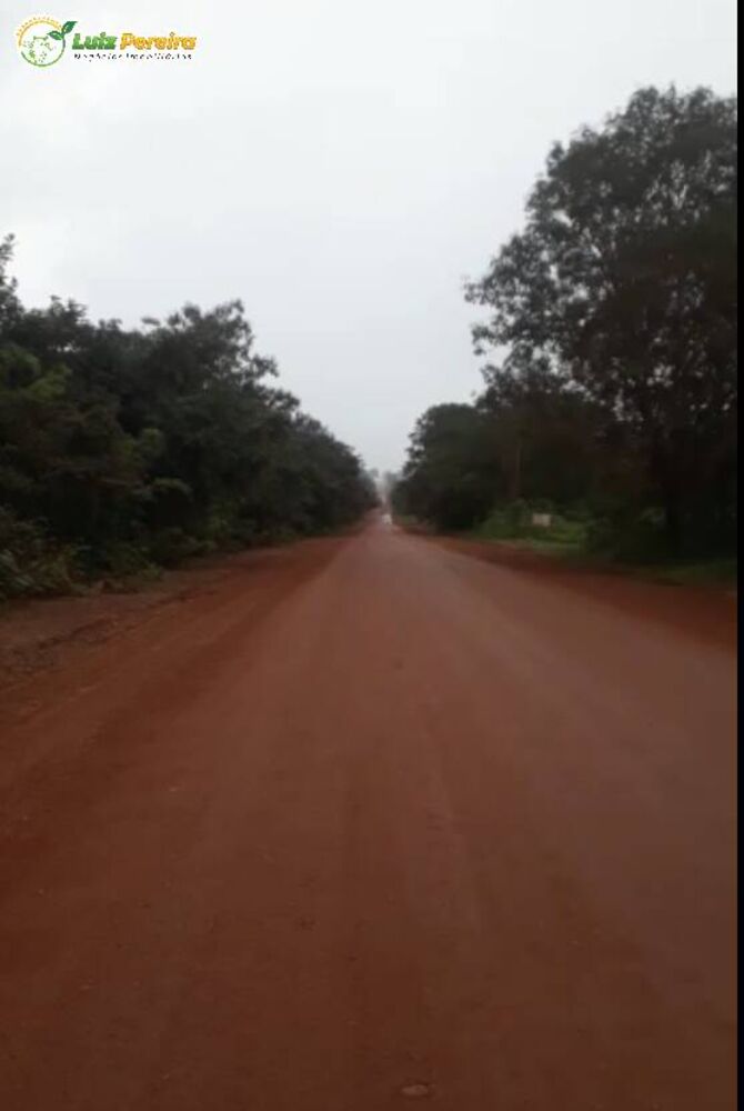 Terreno, 400 hectares - Foto 4