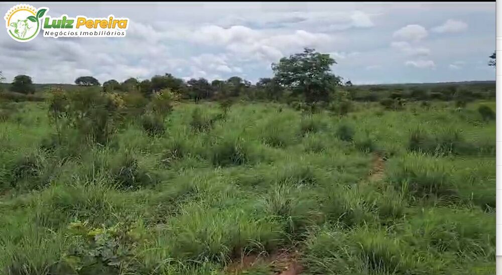 Terreno, 503 m² - Foto 2