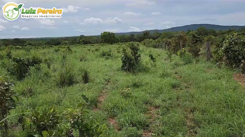 Terreno, 503 m² - Foto 3