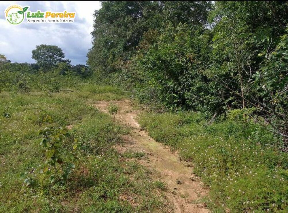 Terreno, 523 hectares - Foto 1