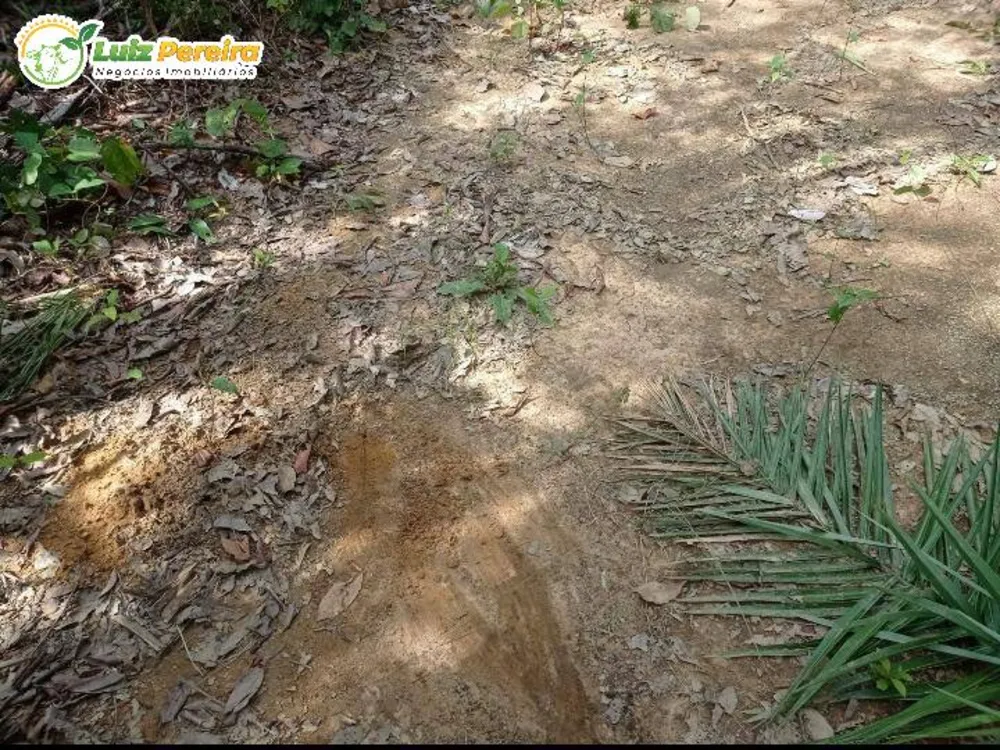 Terreno, 523 hectares - Foto 3
