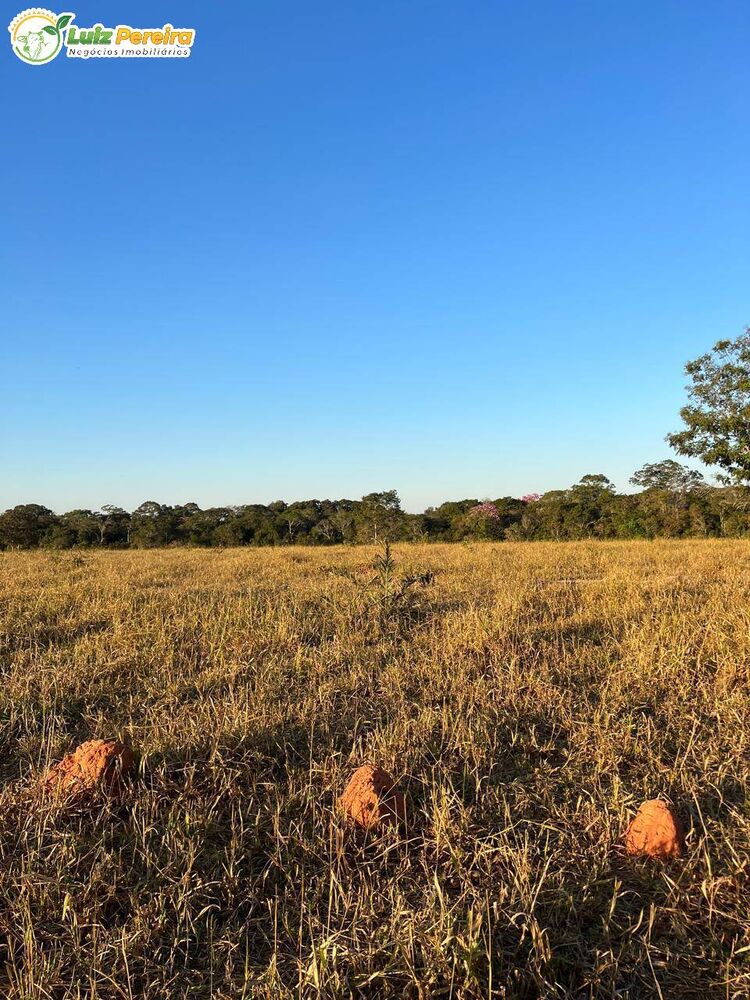 Terreno à venda, 1600m² - Foto 3