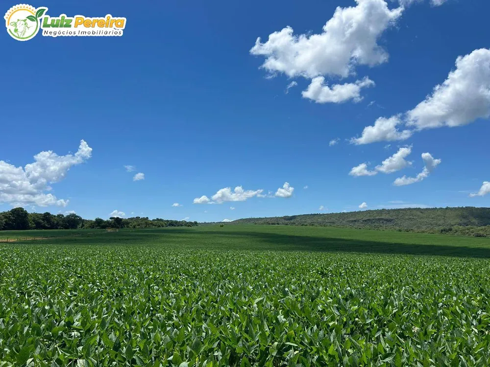 Terreno, 1600 m² - Foto 4