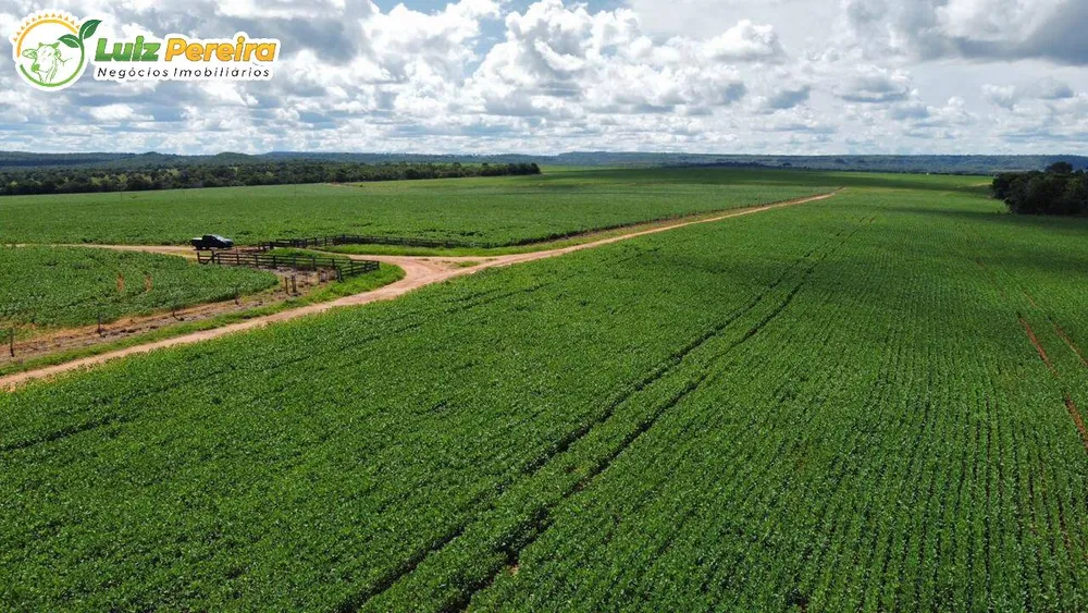 Terreno, 1600 m² - Foto 5