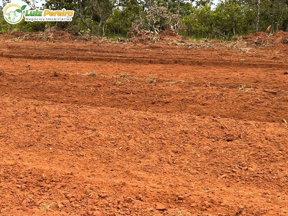 Terreno à venda, 1600m² - Foto 2