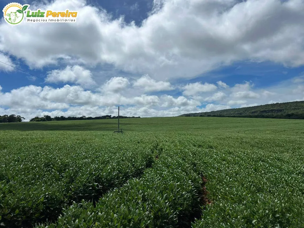 Terreno, 1600 m² - Foto 6