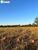 Terreno, 1600 m² - Foto 3