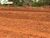 Terreno, 1600 m² - Foto 2