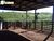 Terreno, 484 hectares - Foto 4