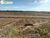 Terreno, 1307 hectares - Foto 3