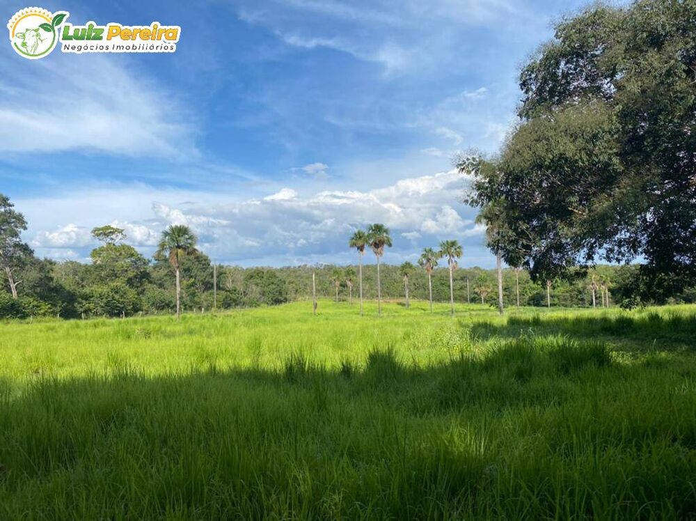 Terreno à venda, 4780m² - Foto 1