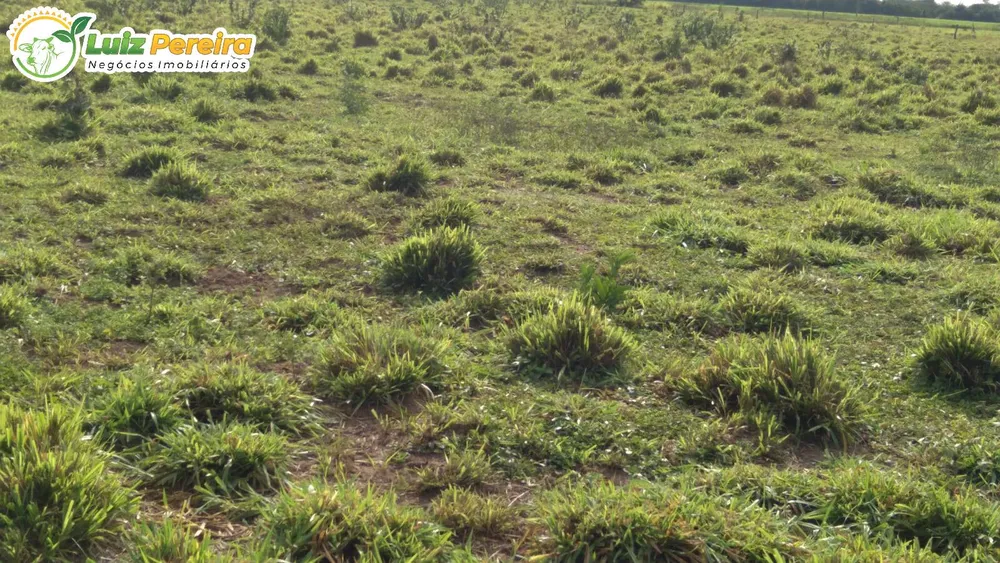 Terreno, 1210 m² - Foto 2
