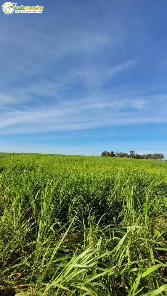 Terreno, 60 m² - Foto 4