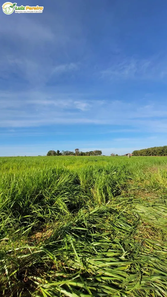 Terreno, 60 m² - Foto 5