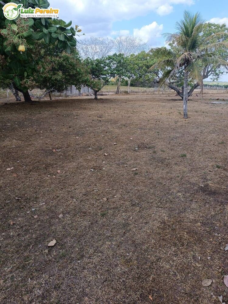 Terreno à venda, 2226m² - Foto 4