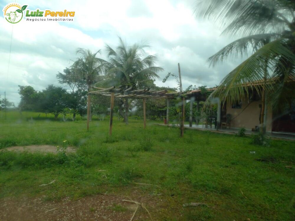 Terreno à venda, 2226m² - Foto 2