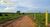Terreno, 100 hectares - Foto 4
