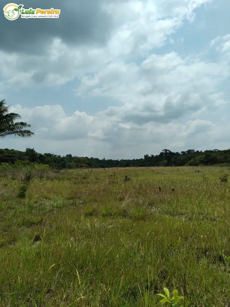 Terreno, 3000 m² - Foto 11